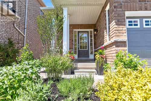 38 Templeton Court, Brampton, ON - Outdoor