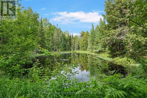 5301 620 Highway, Wollaston, ON - Outdoor