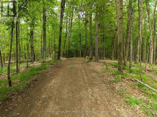 5301 620 Highway, Wollaston, ON - Outdoor With View
