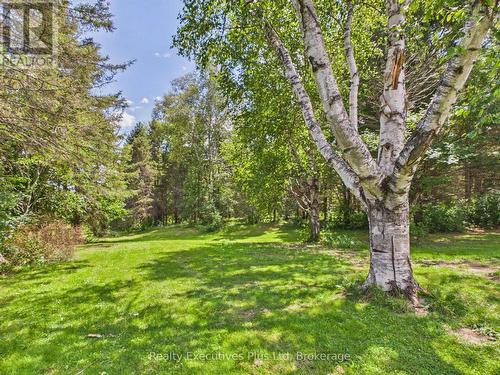 29 Queen Street, Sundridge, ON - Outdoor