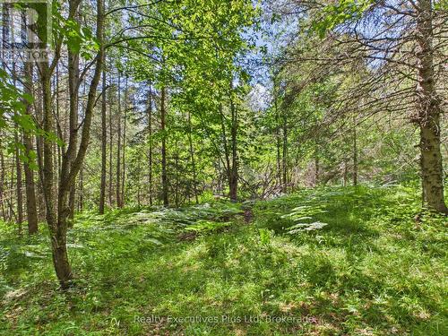 29 Queen Street, Sundridge, ON - Outdoor