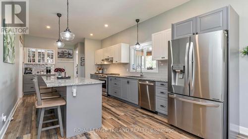 33134 Back Street, Dutton/Dunwich (Iona), ON - Indoor Photo Showing Kitchen With Upgraded Kitchen