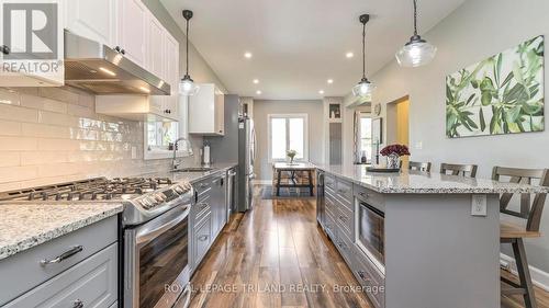 33134 Back Street, Dutton/Dunwich (Iona), ON - Indoor Photo Showing Kitchen With Upgraded Kitchen