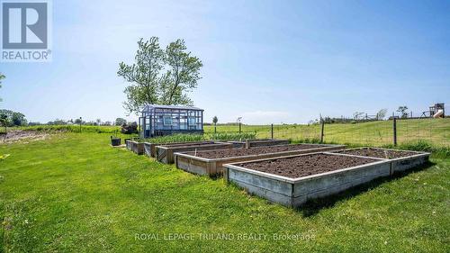 33134 Back Street, Dutton/Dunwich (Iona), ON - Outdoor