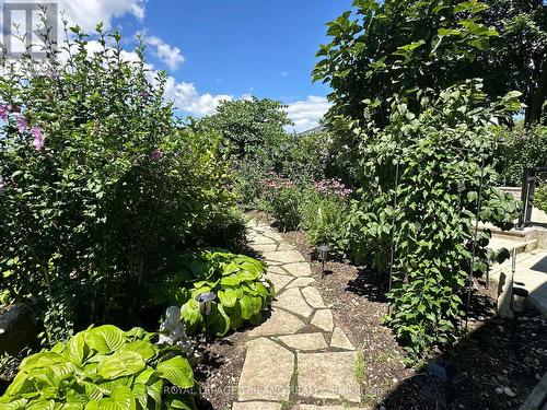 33134 Back Street, Dutton/Dunwich (Iona), ON - Outdoor