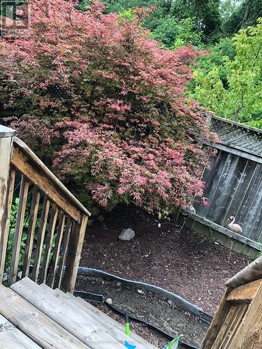 284 Exmouth Circle, London East (East L), ON - Outdoor