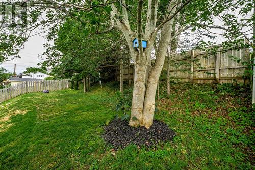 61 Reid Street, St. John'S, NL - Outdoor