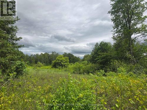 Pt Lt 26 Con 8 Pr174599 Buckwheat Road, Edwardsburgh/Cardinal, ON 