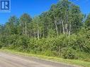 0000 Penna Shaft Road, Timiskaming (Tim - Outside - Rural), ON 
