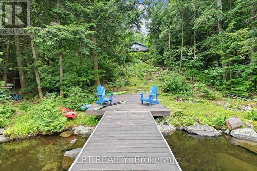 500A Hazard Hill Road, Kearney, ON - Outdoor