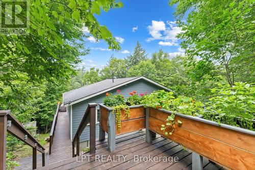 500A Hazard Hill Road, Kearney, ON - Outdoor With Deck Patio Veranda