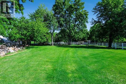 568 Road 2 West, Kingsville, ON - Outdoor