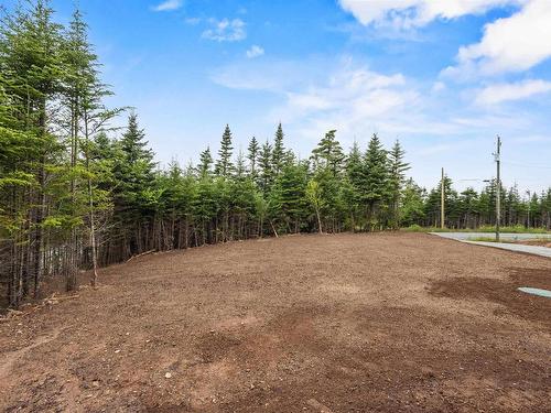 1062 Mines Road, West Petpeswick, NS - Outdoor With View