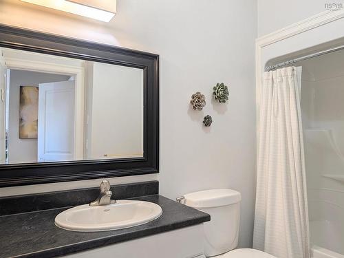 204 24 Harbourside Drive, Wolfville, NS - Indoor Photo Showing Bathroom