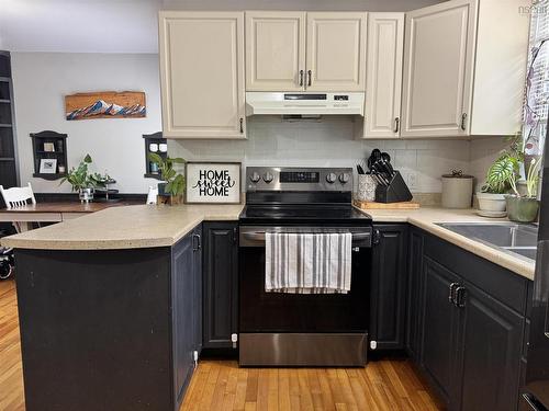 790 Trenton Road, New Glasgow, NS - Indoor Photo Showing Kitchen With Double Sink