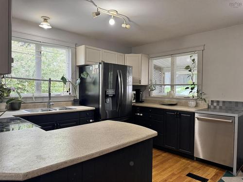 790 Trenton Road, New Glasgow, NS - Indoor Photo Showing Kitchen With Double Sink