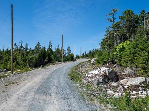 Lot 113 2885 Ostrea Lake Road, Ostrea Lake, NS 