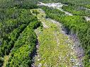Lot 113 2885 Ostrea Lake Road, Ostrea Lake, NS 