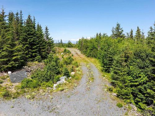 Lot 113 2885 Ostrea Lake Road, Ostrea Lake, NS 