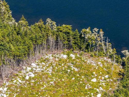Lot 113 2885 Ostrea Lake Road, Ostrea Lake, NS 