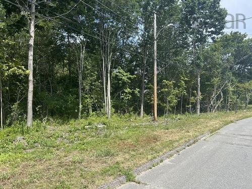 Chestnut Avenue, Hantsport, NS 