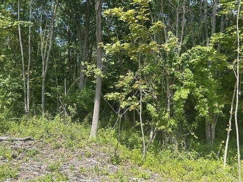 Chestnut Avenue, Hantsport, NS 