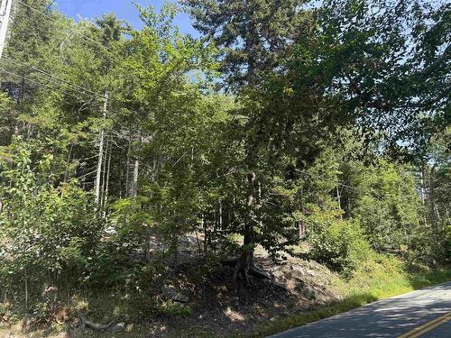 Lot 38 - 1765 Waverley Road, Waverley, NS 