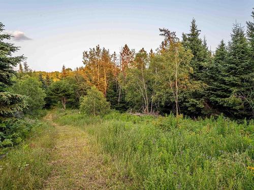 Lot 3Y No 333 Highway, Tantallon, NS 
