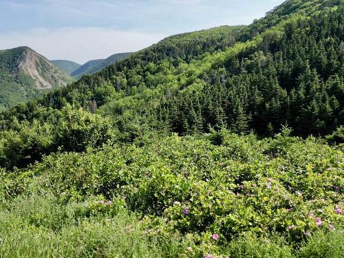 Meat Cove Road, Meat Cove, NS 