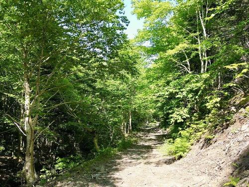 Meat Cove Road, Meat Cove, NS 