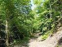 Meat Cove Road, Meat Cove, NS 