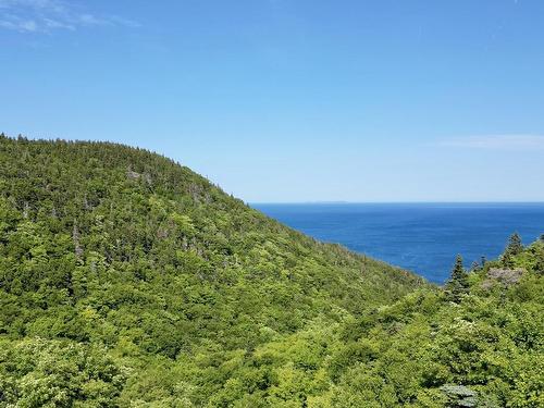 Meat Cove Road, Meat Cove, NS 