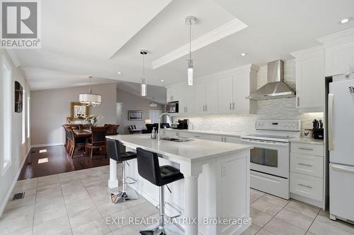 248 Des Violettes Street, Clarence-Rockland, ON - Indoor Photo Showing Kitchen With Upgraded Kitchen
