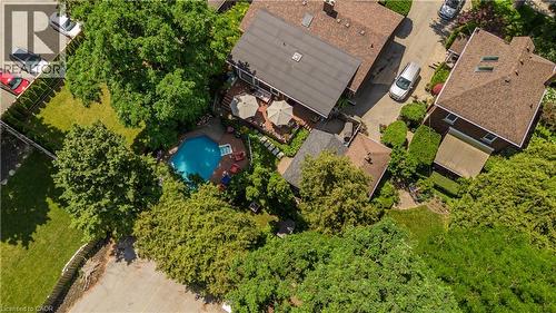 Expansive property featuring a private swimming pool, mature landscaping, spacious outdoor decking, a paved driveway, and multiple structures - 569 Locust Street, Burlington, ON - Outdoor With View