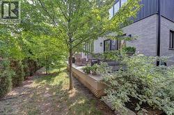Private outdoor patio with a perimeter of mature trees and established greenery - 