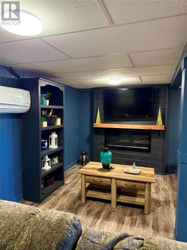 17 Brighton Road, Triton, NL - Indoor Photo Showing Living Room