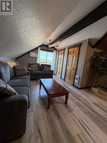 17 Brighton Road, Triton, NL - Indoor Photo Showing Living Room