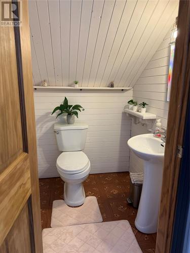 17 Brighton Road, Triton, NL - Indoor Photo Showing Bathroom