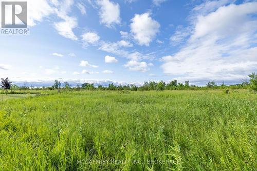 00 County Rd 8, Greater Napanee (Greater Napanee), ON 