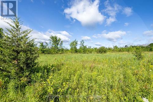 00 County Rd 8, Greater Napanee (Greater Napanee), ON 