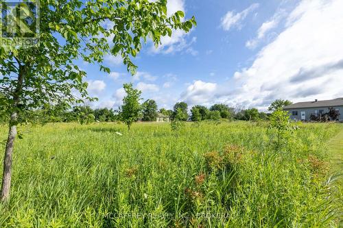 00 County Rd 8, Greater Napanee (Greater Napanee), ON 