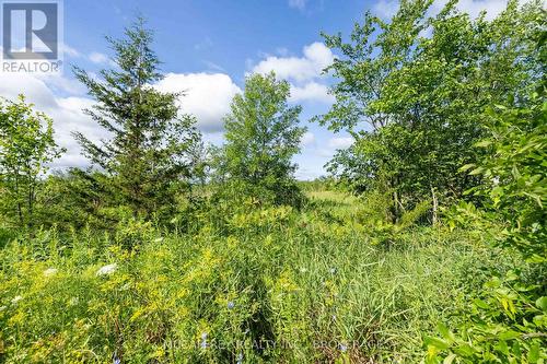00 County Rd 8, Greater Napanee (Greater Napanee), ON 