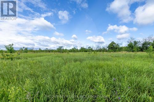 00 County Rd 8, Greater Napanee (Greater Napanee), ON 