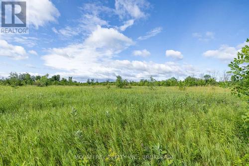 00 County Rd 8, Greater Napanee (Greater Napanee), ON 