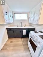 220 NELSON Street Unit# 3 Brantford, ON N3S 4C1
