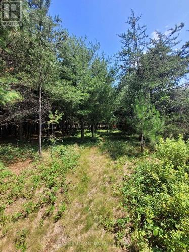 6 Grey Street, Sables-Spanish Rivers, ON 