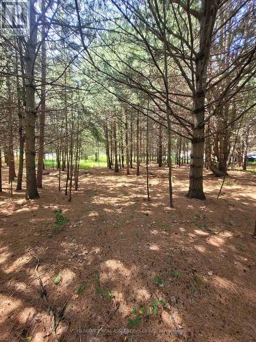 6 Grey Street, Sables-Spanish Rivers, ON 
