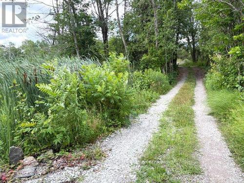 377 Macey Bay Road, Georgian Bay, ON 