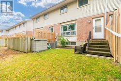 Back Yard - 