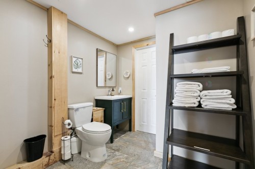 Bathroom - 327 Rue Thomas-Lefebvre, Mansfield-Et-Pontefract, QC - Indoor Photo Showing Bathroom